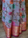 Banarasee Organza Mix Saree With Jaal Design & Floral Border-White