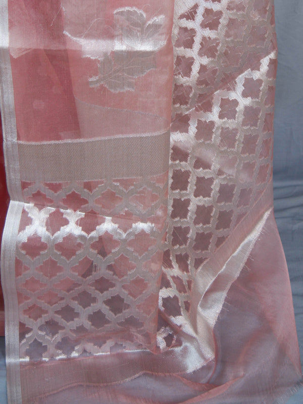 Banarasee Organza Mix Saree With Silver Leaf Buta & Border-Peach