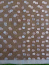 Banarasee Organza Mix Saree With Silver Leaf Buta & Border-Peach