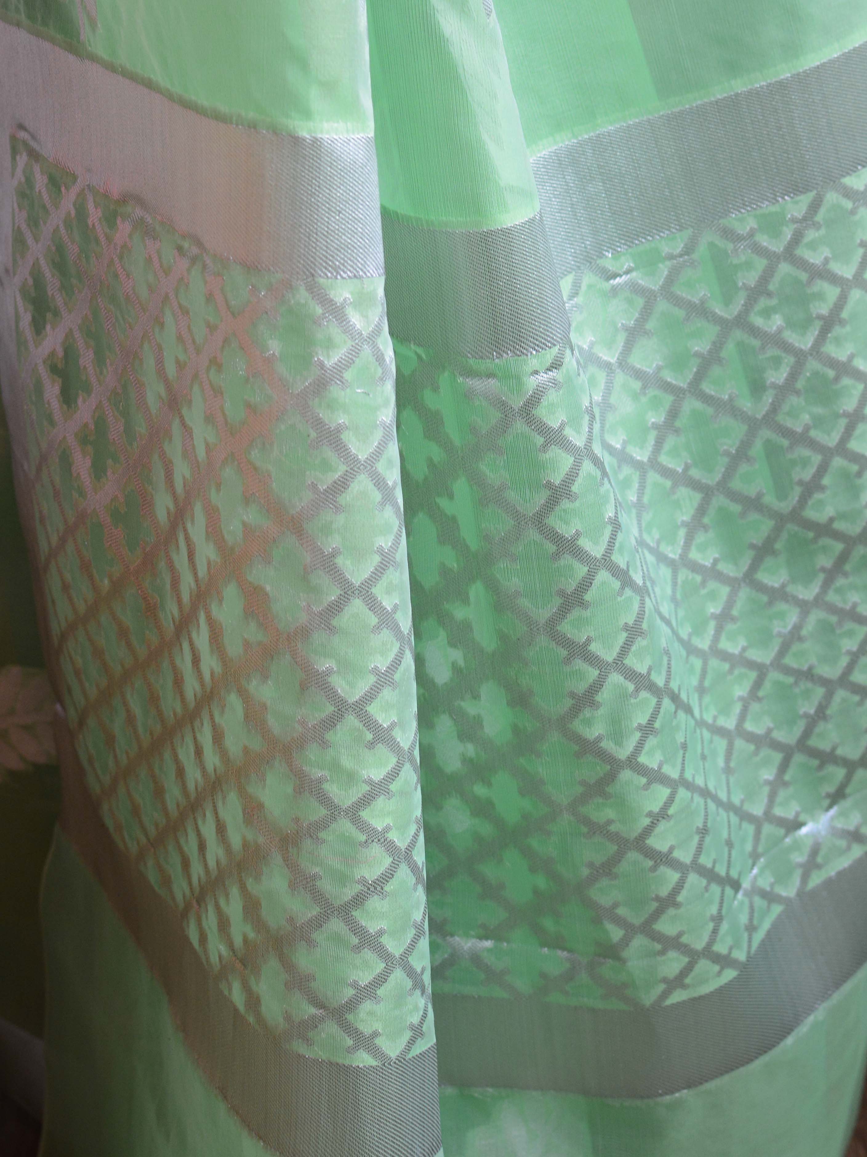 Banarasee Organza Mix Saree With Silver Leaf Buta & Border-Light Green