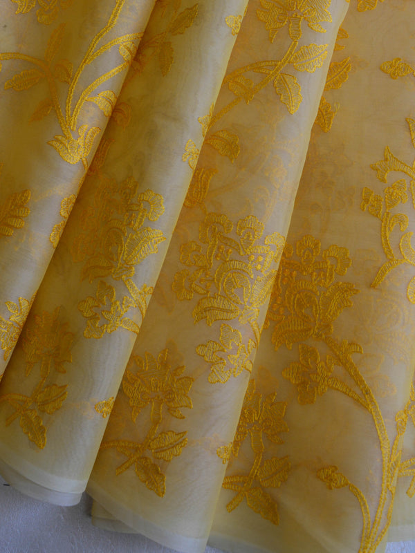 Banarasee Handwoven Organza Silk Embroidered Saree With Contrast Silk Cotton Blouse-Yellow & Green