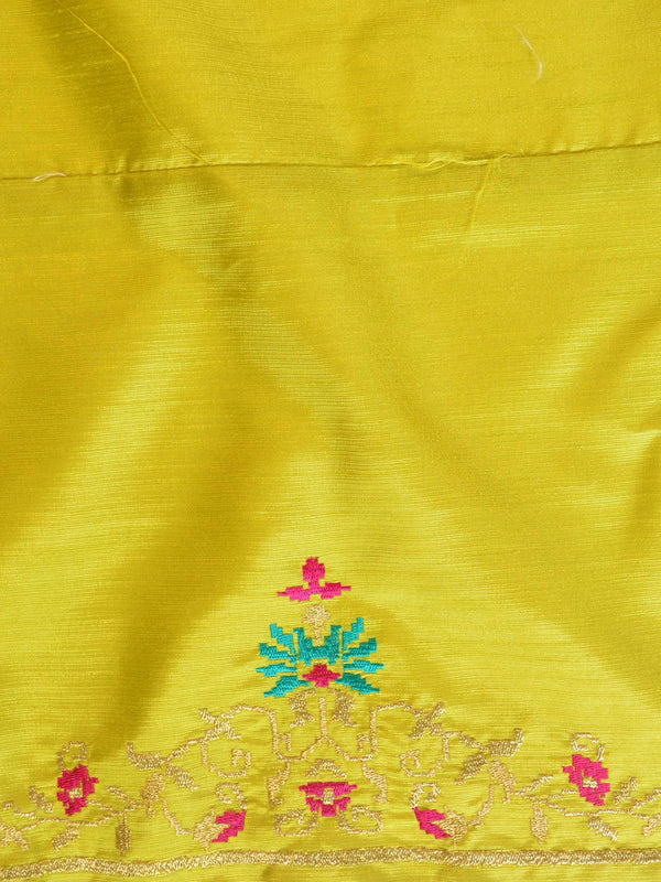 Banarasee Brasso Silk Patola Saree with Meena Border Design With Contrast Embroidered Blouse-Multicolor