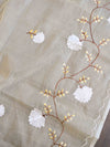Banarase Kota Doria Heavy Hand-Embroidered Salwar Kameez Dupatta Set-Beige