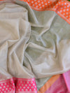 Banarasee Tissue Saree With Ganga Jamuna Border-Silver