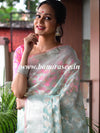 Banarasee Organza Mix Saree With Silver Zari-Blue