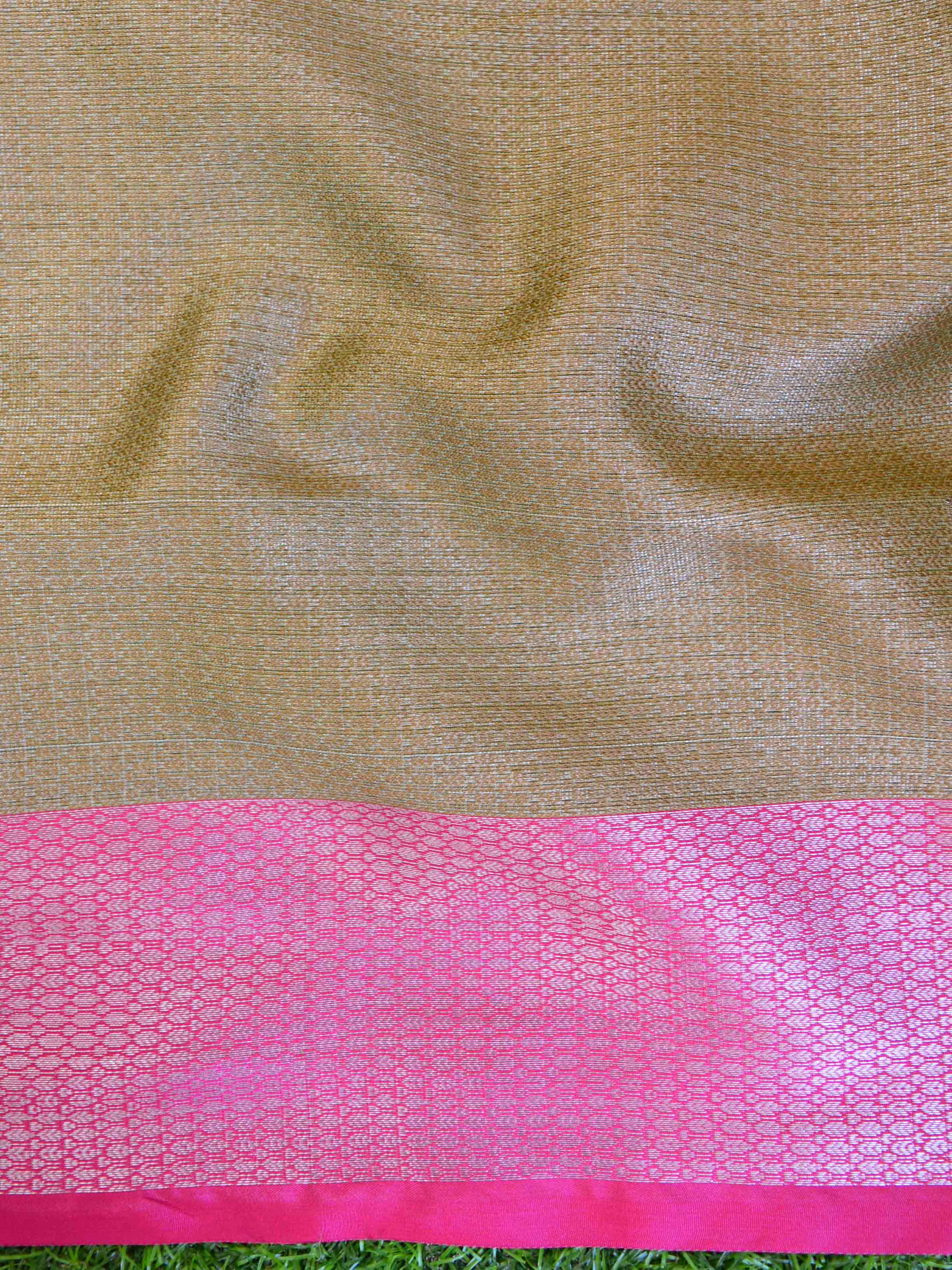 Banarasee Tissue Saree With Antique Zari Design-Pastel Green