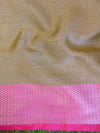 Banarasee Tissue Saree With Antique Zari Design-Pastel Green