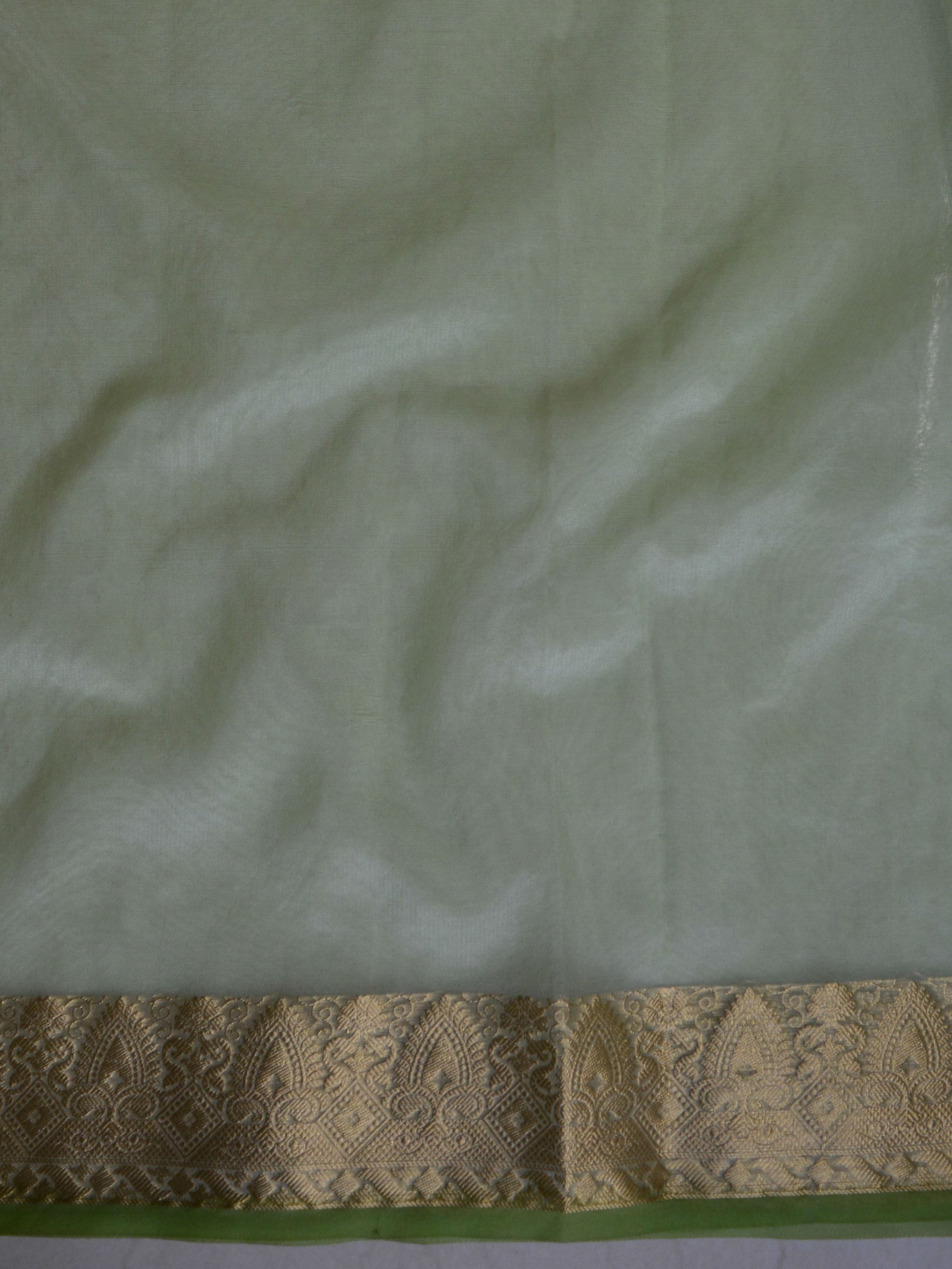 Banarasee Handwoven Organza Silk Hand-Painted & Embroidered Saree-Light Green