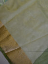 Banarasee Handwoven Organza Silk Hand-Painted & Embroidered Saree-Light Green