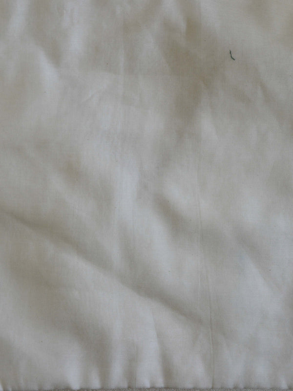 Banarasee Handwoven Pure Cotton Silk Saree With Zari Stripes & Border-Ivory White