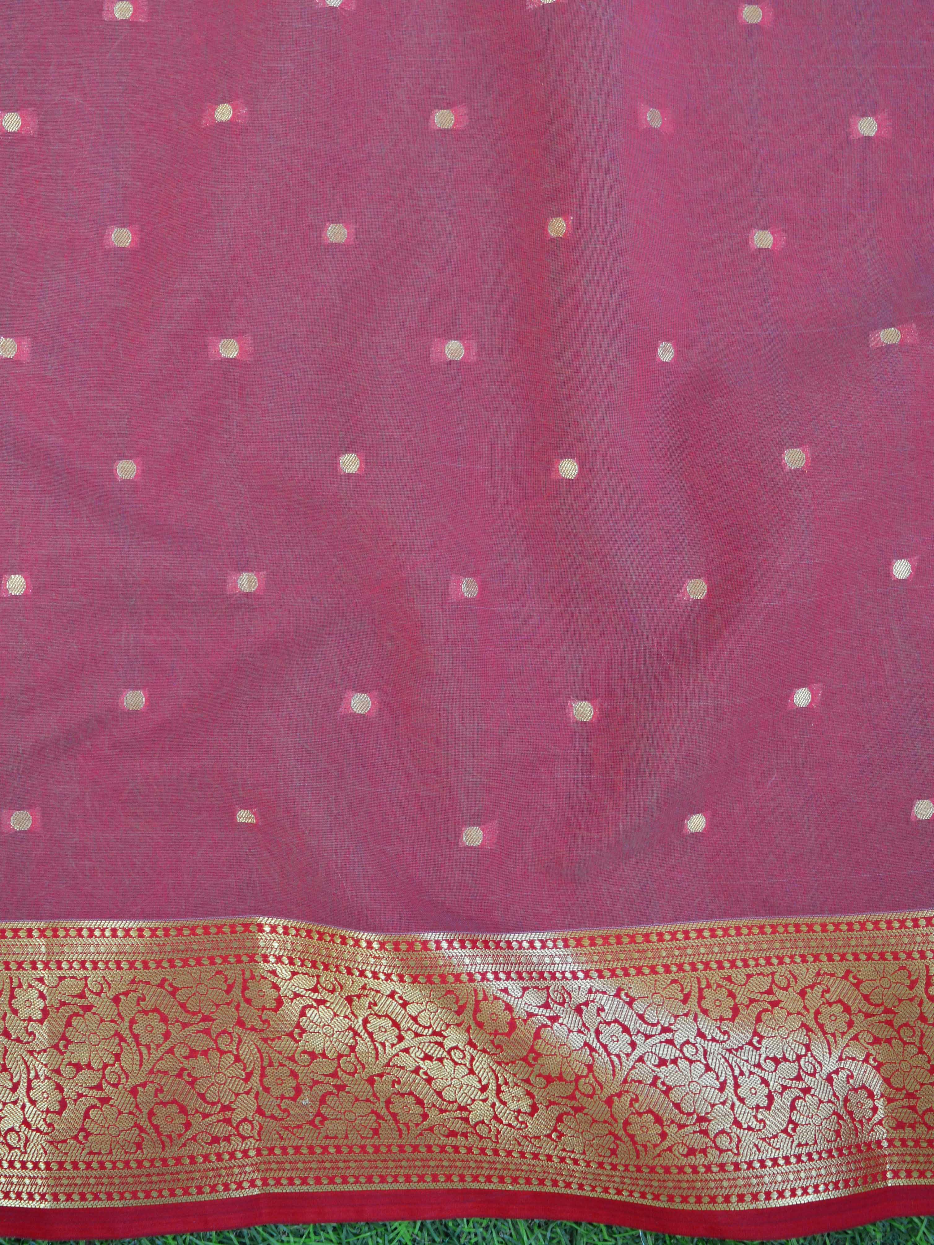 Banarasee Organza Mix Saree With Polka Dot & Zari Border-White