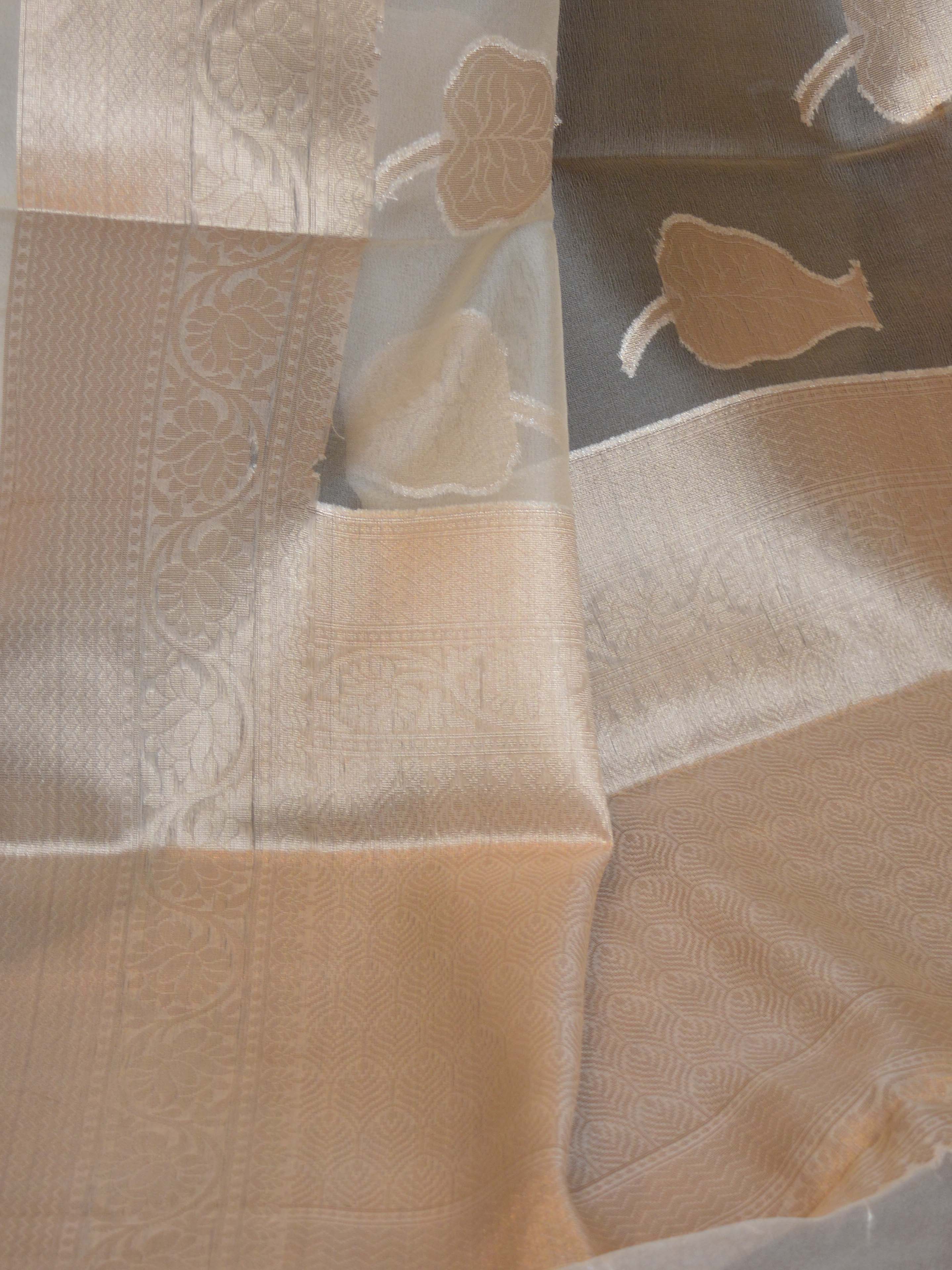 Banarasee Organza Mix Saree With Silver Zari Leaf Buta-Beige