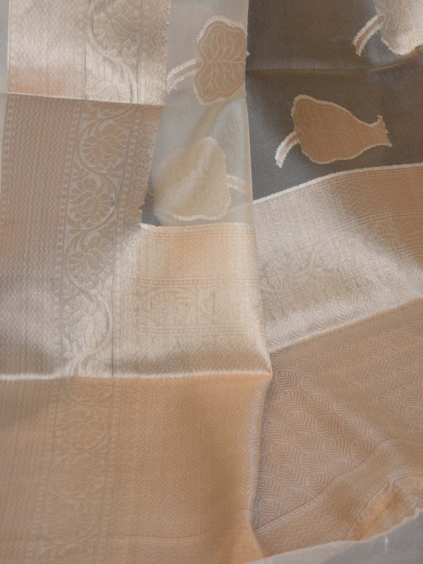 Banarasee Organza Mix Saree With Silver Zari Leaf Buta-Beige