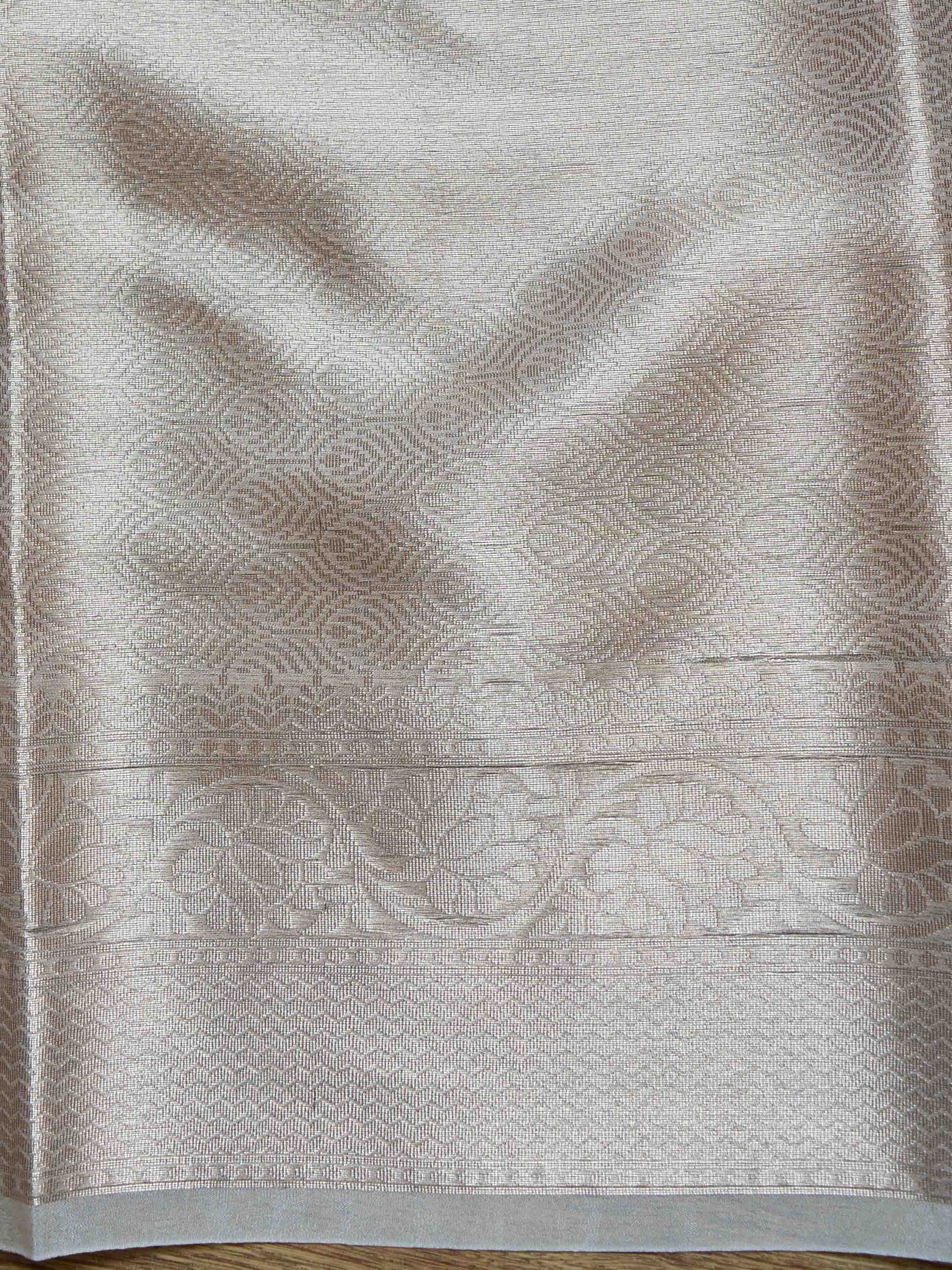 Banarasee Organza Mix Saree With Silver Zari Leaf Buta-Beige