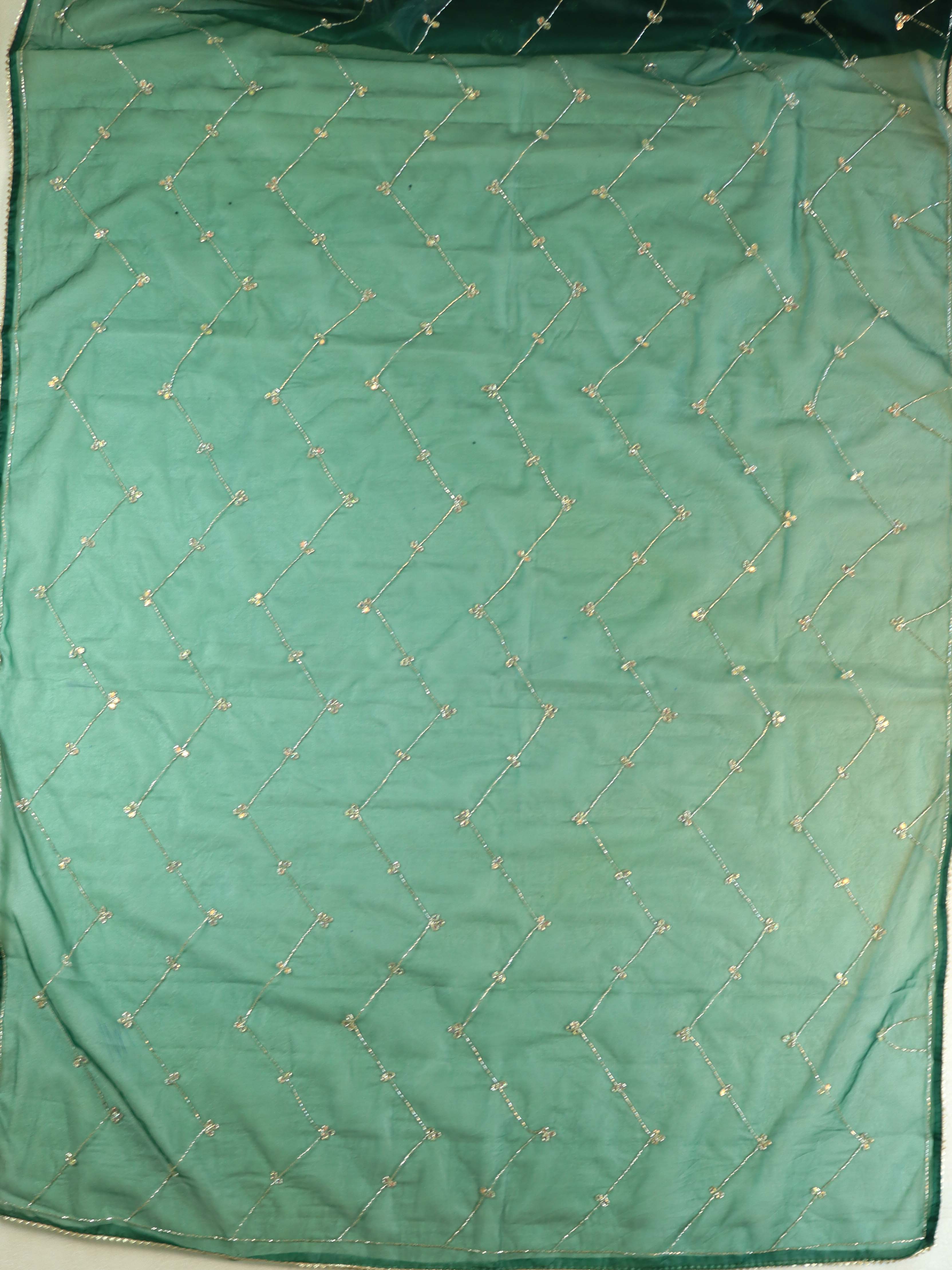 Banarasee Organza Silk Hand-work Saree-Bottle Green