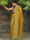 Banarasee Handwoven Organza Silk Floral Embroidered Saree-Olive Green