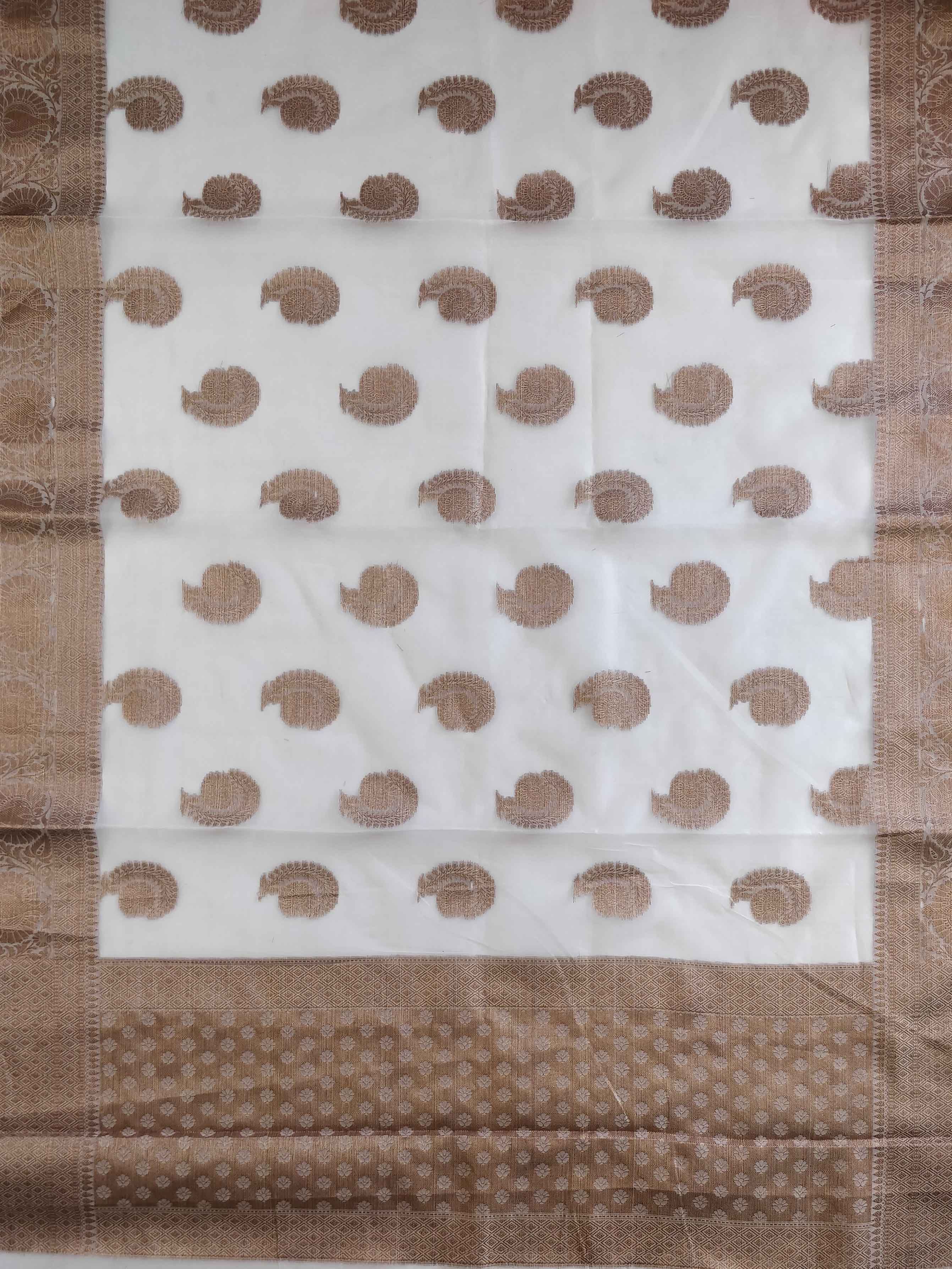 Banarasee Organza Mix Saree With Antique Zari Design-White