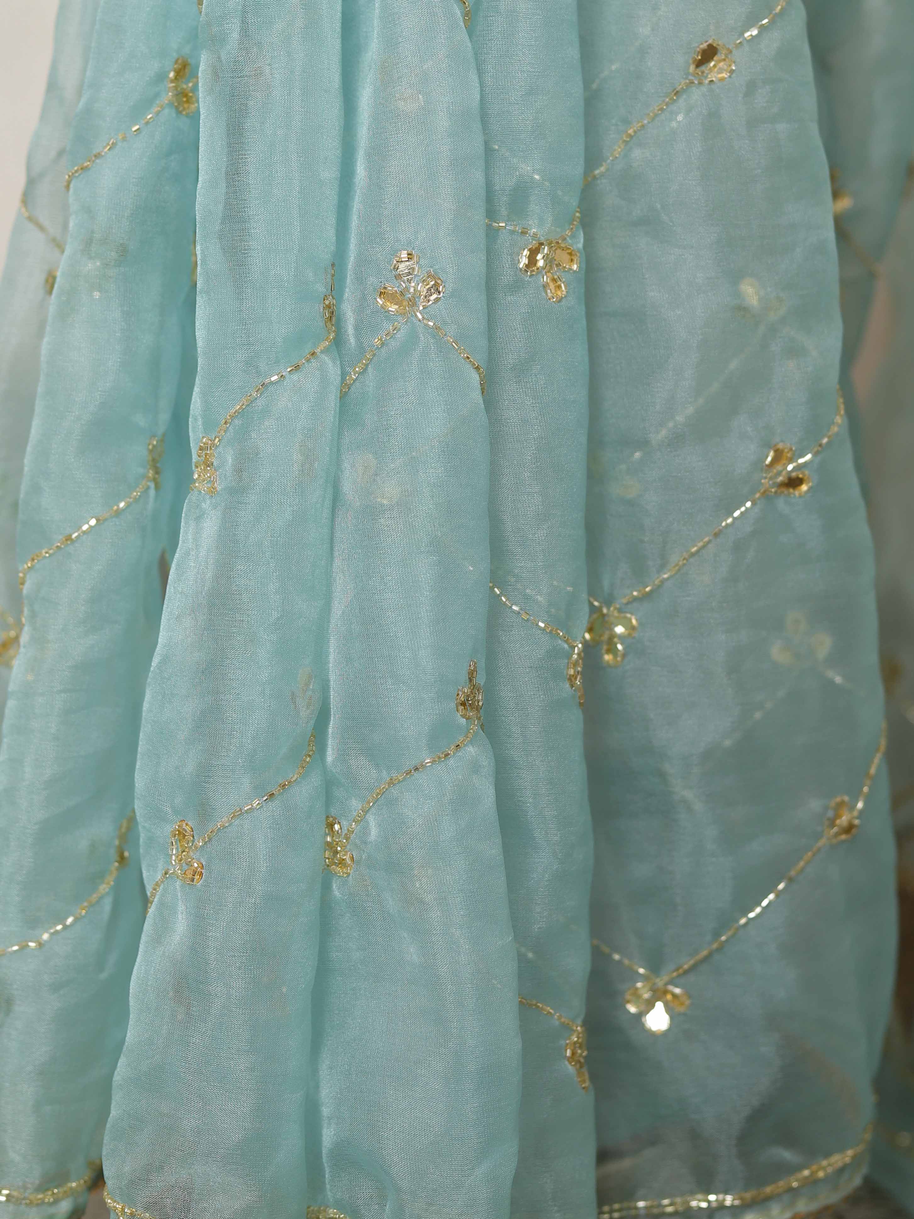 Banarasee Organza Silk Hand-work Saree-Light Blue