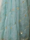 Banarasee Organza Silk Hand-work Saree-Light Blue