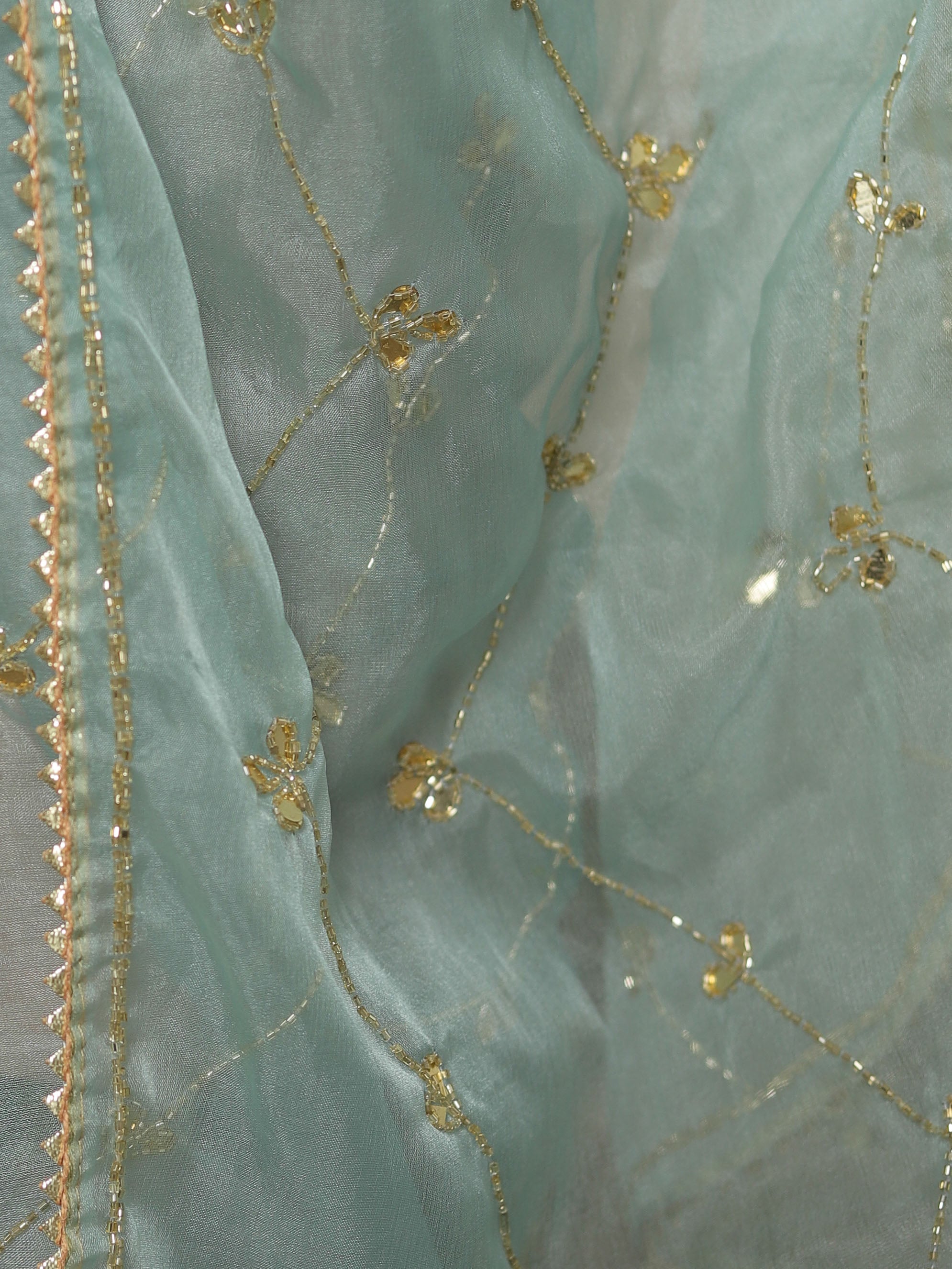 Banarasee Organza Silk Hand-work Saree-Light Blue