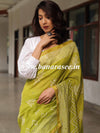Handloom Chanderi Bagru Block Printed Mirror-Work Saree-Henna Green
