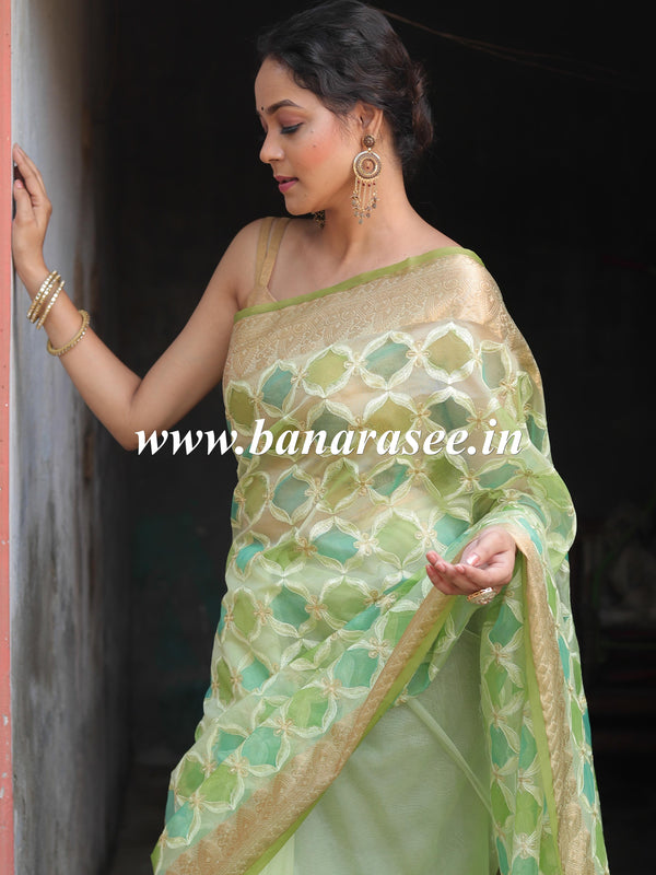 Banarasee Handwoven Organza Silk Hand-Painted & Embroidered Saree-Light Green