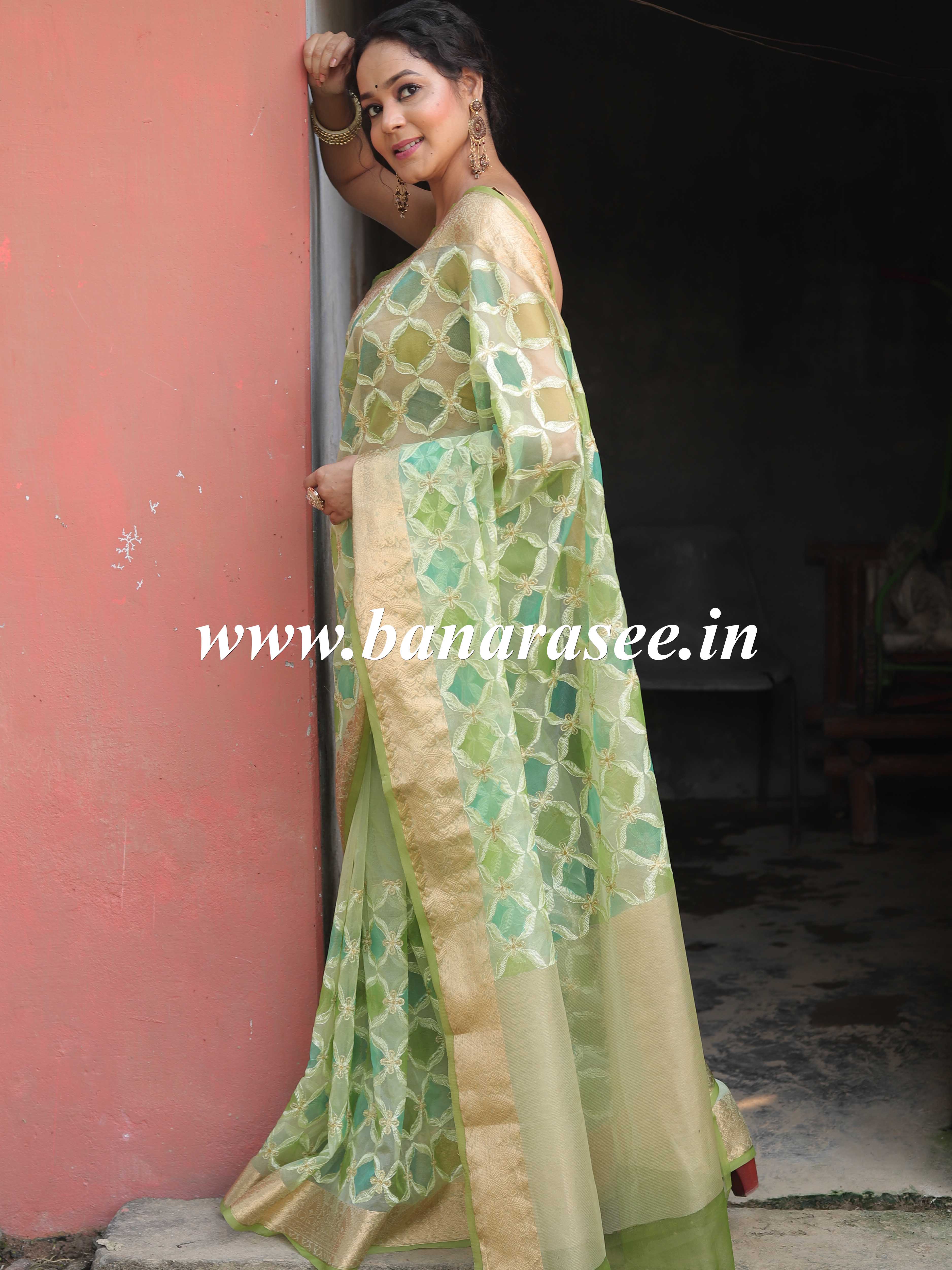 Banarasee Handwoven Organza Silk Hand-Painted & Embroidered Saree-Light Green