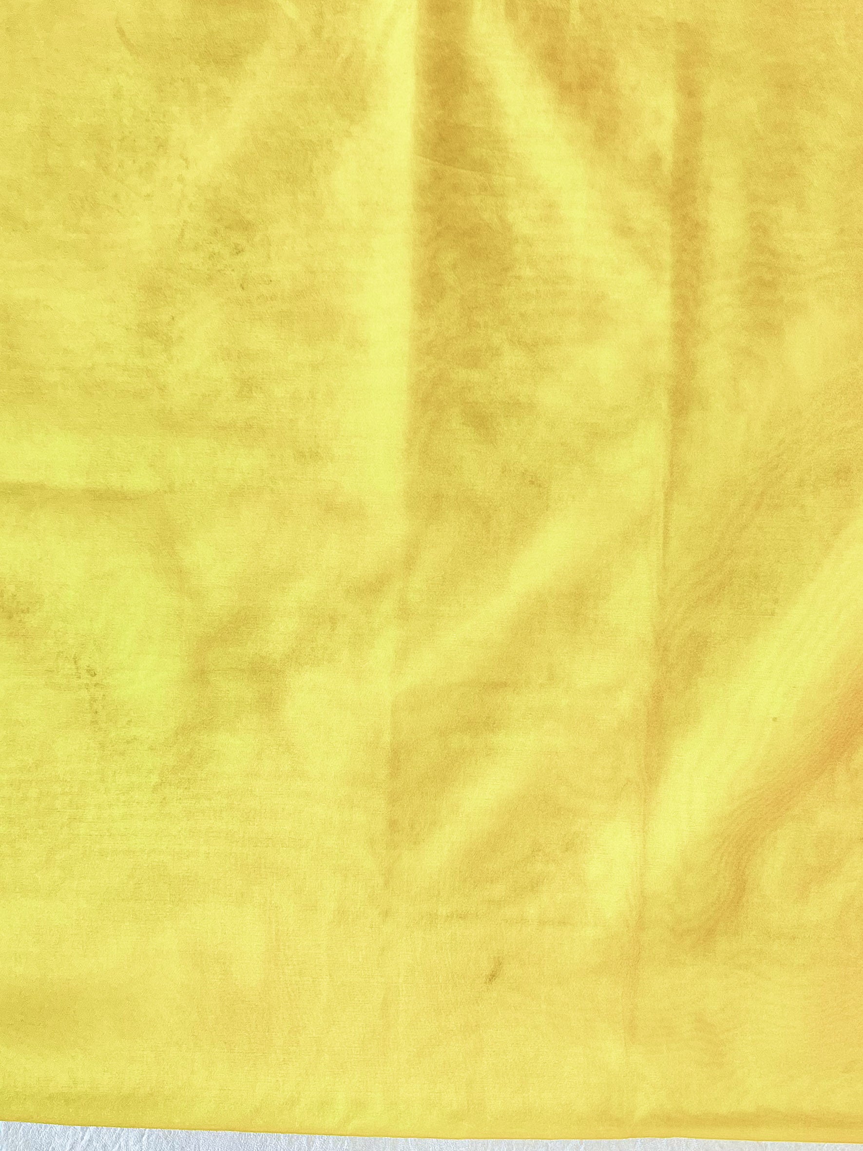 Banarasee Handwoven Organza Silk Floral Embroidered Saree-Yellow