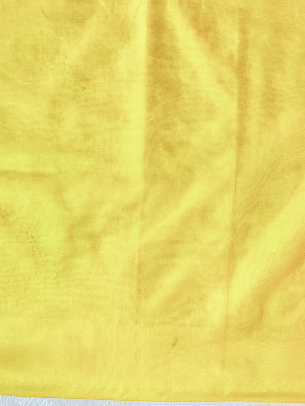 Banarasee Handwoven Organza Silk Floral Embroidered Saree-Yellow