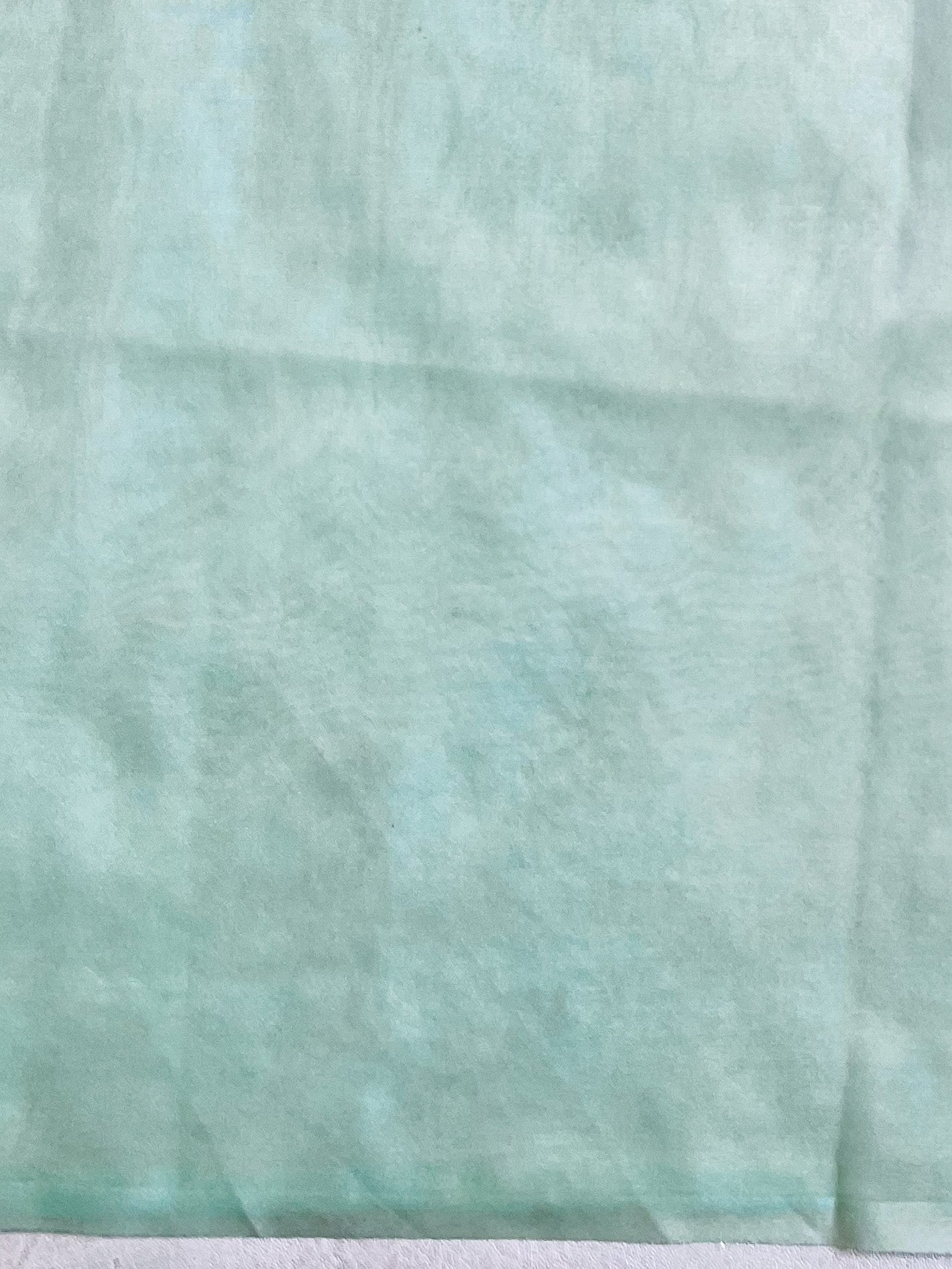 Banarasee Handwoven Organza Silk Floral Embroidered Saree-Sea Green