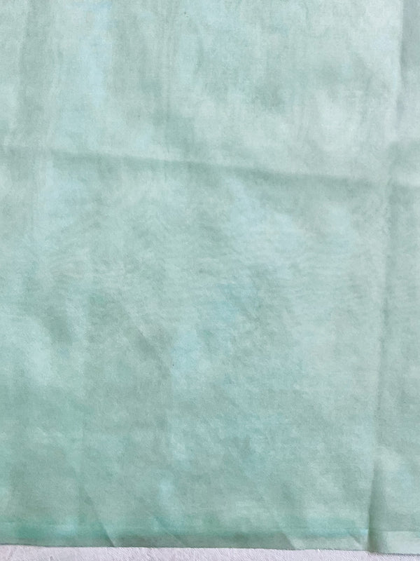 Banarasee Handwoven Organza Silk Floral Embroidered Saree-Sea Green