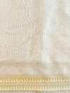 Banarasee Organza Silk Saree With Zari Motifs & Border-Beige