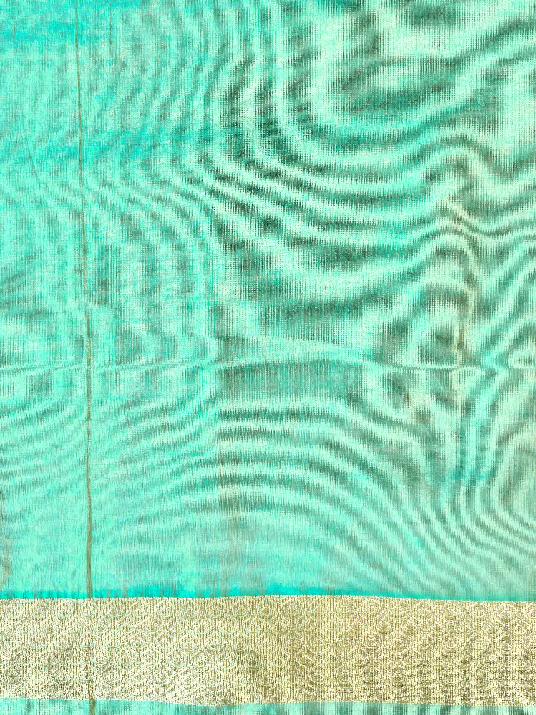 Banarasee Organza Silk Saree With Zari Motifs & Border-Sea Green